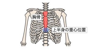 胸骨と上半身重心の位置