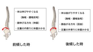骨盤の前傾と後傾による影響の説明